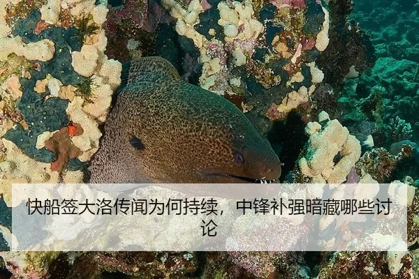 快船签大洛传闻为何持续，中锋补强暗藏哪些讨论